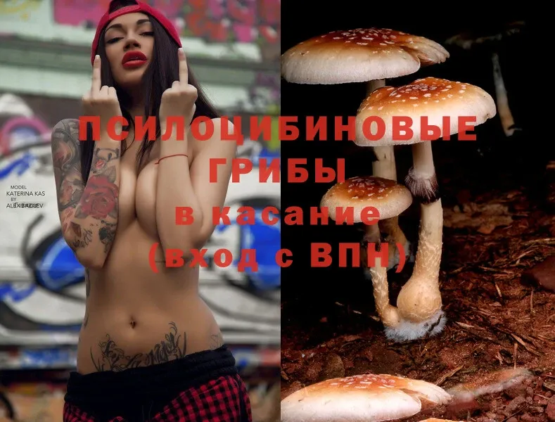 Галлюциногенные грибы Magic Shrooms  Семилуки 